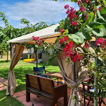 Annmari Skala Potamia